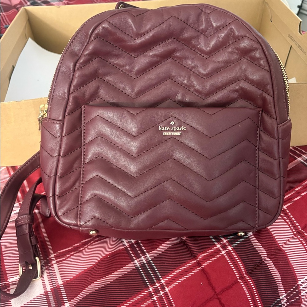 Kate Spade Maroon Chevron Backpack